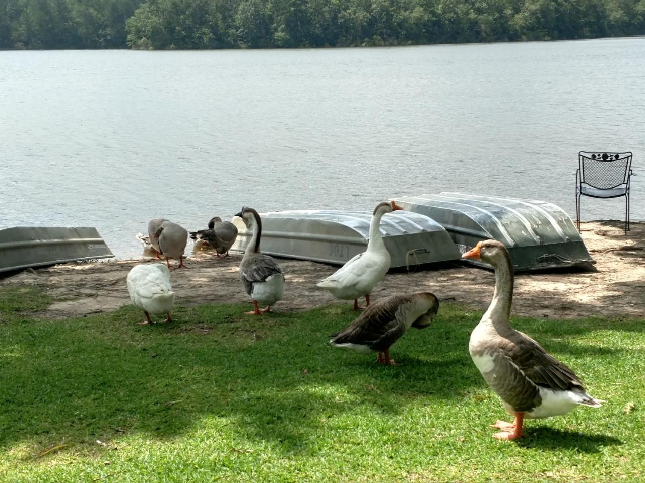 Lake Tiak - O'Khata Resort Louisville Esterno foto